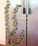 MagnetIvy - English Ivy Fridge Magnet with Articulating Stems