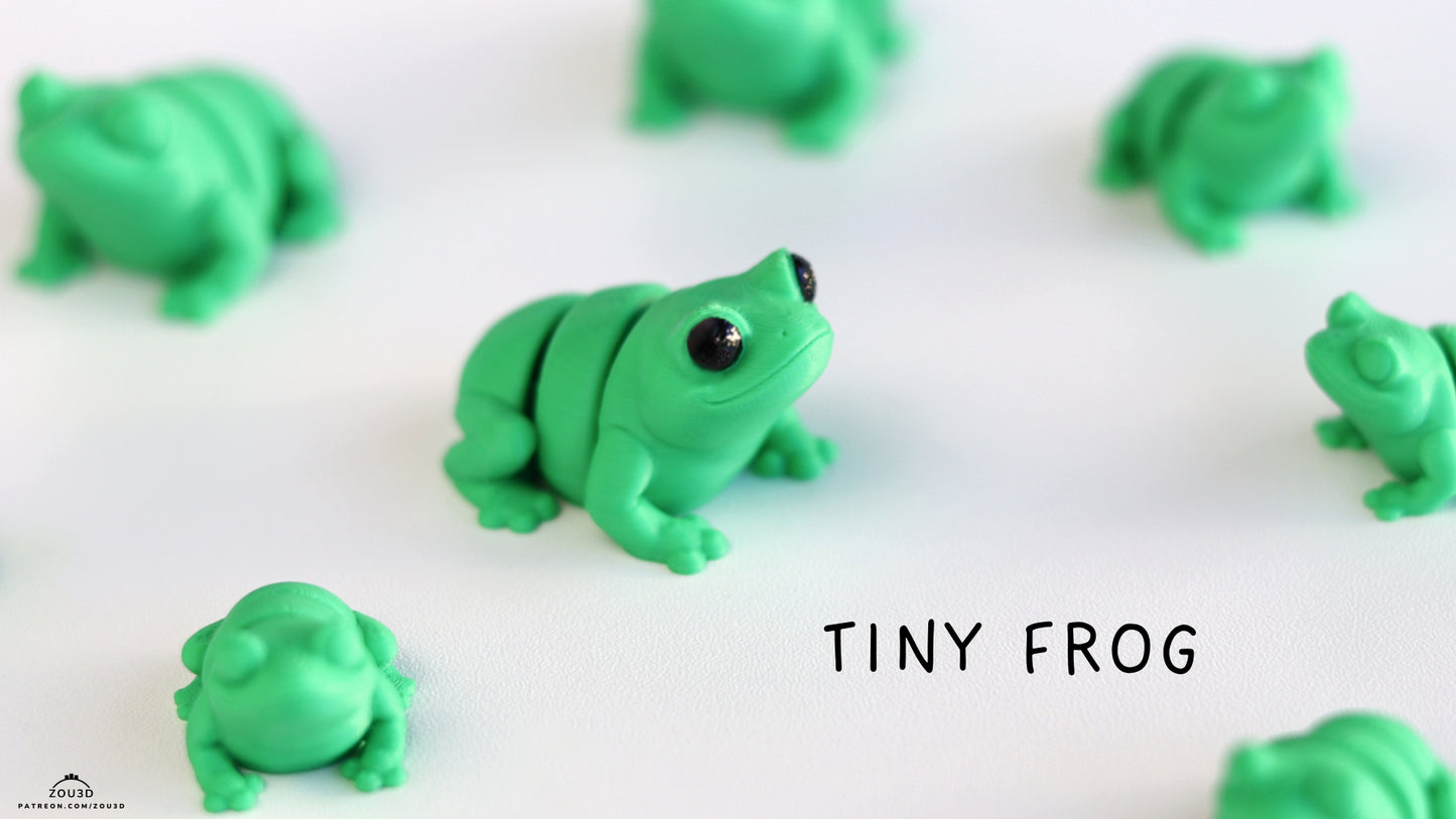 Tiny Frog - Pocket Pal