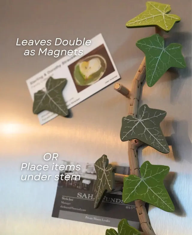 MagnetIvy - English Ivy Fridge Magnet with Articulating Stems