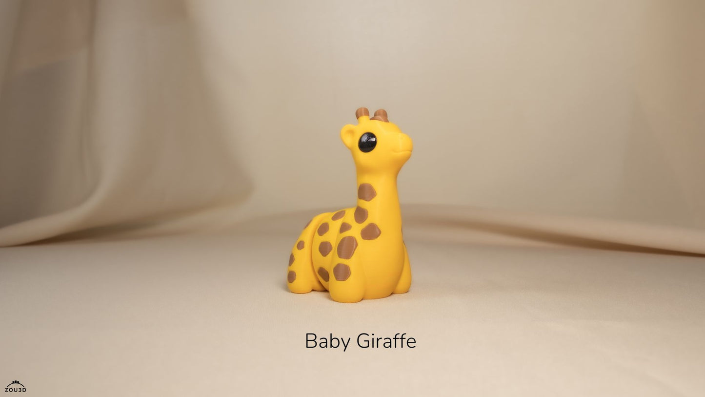 Baby Giraffe