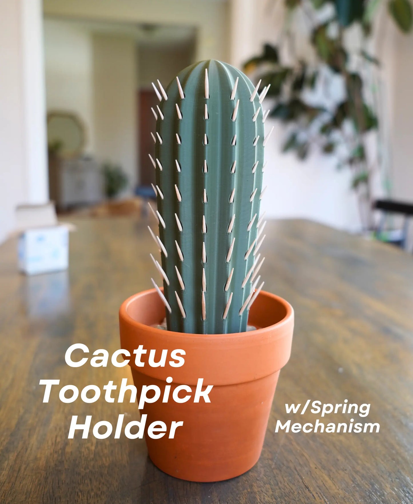 Cactus Toothpick Holder