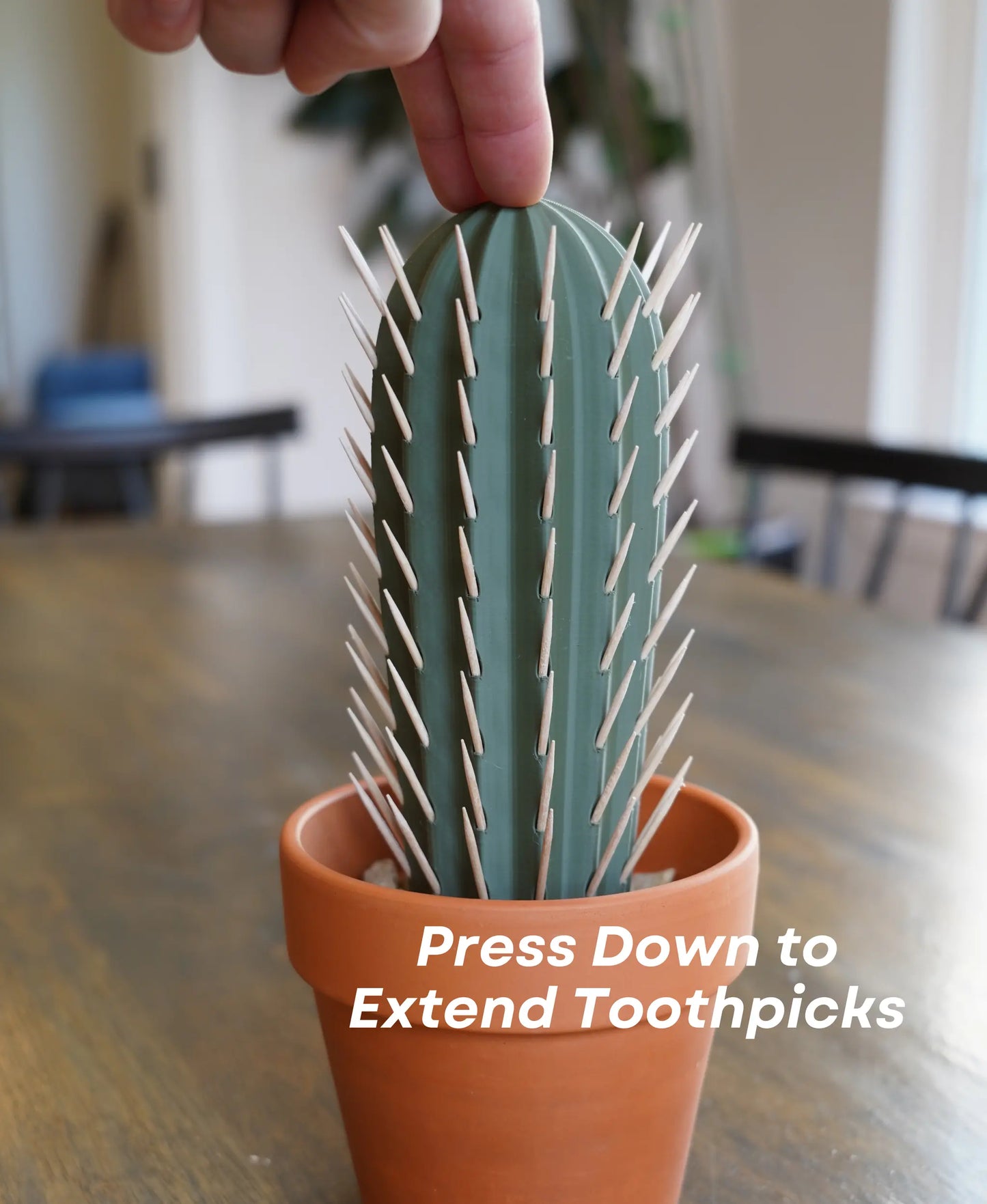 Cactus Toothpick Holder