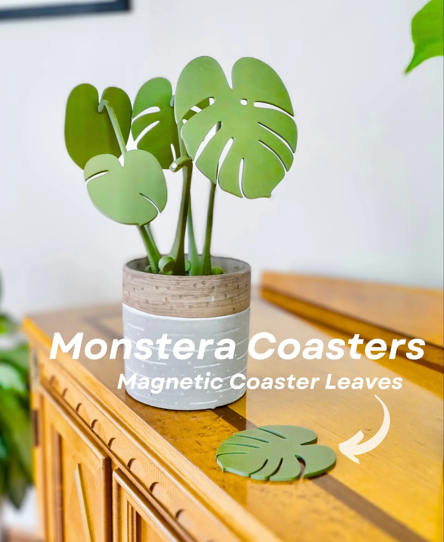 Monstera Coasters