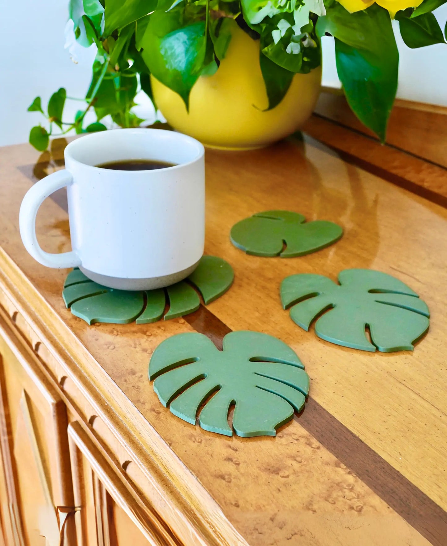 Monstera Coasters