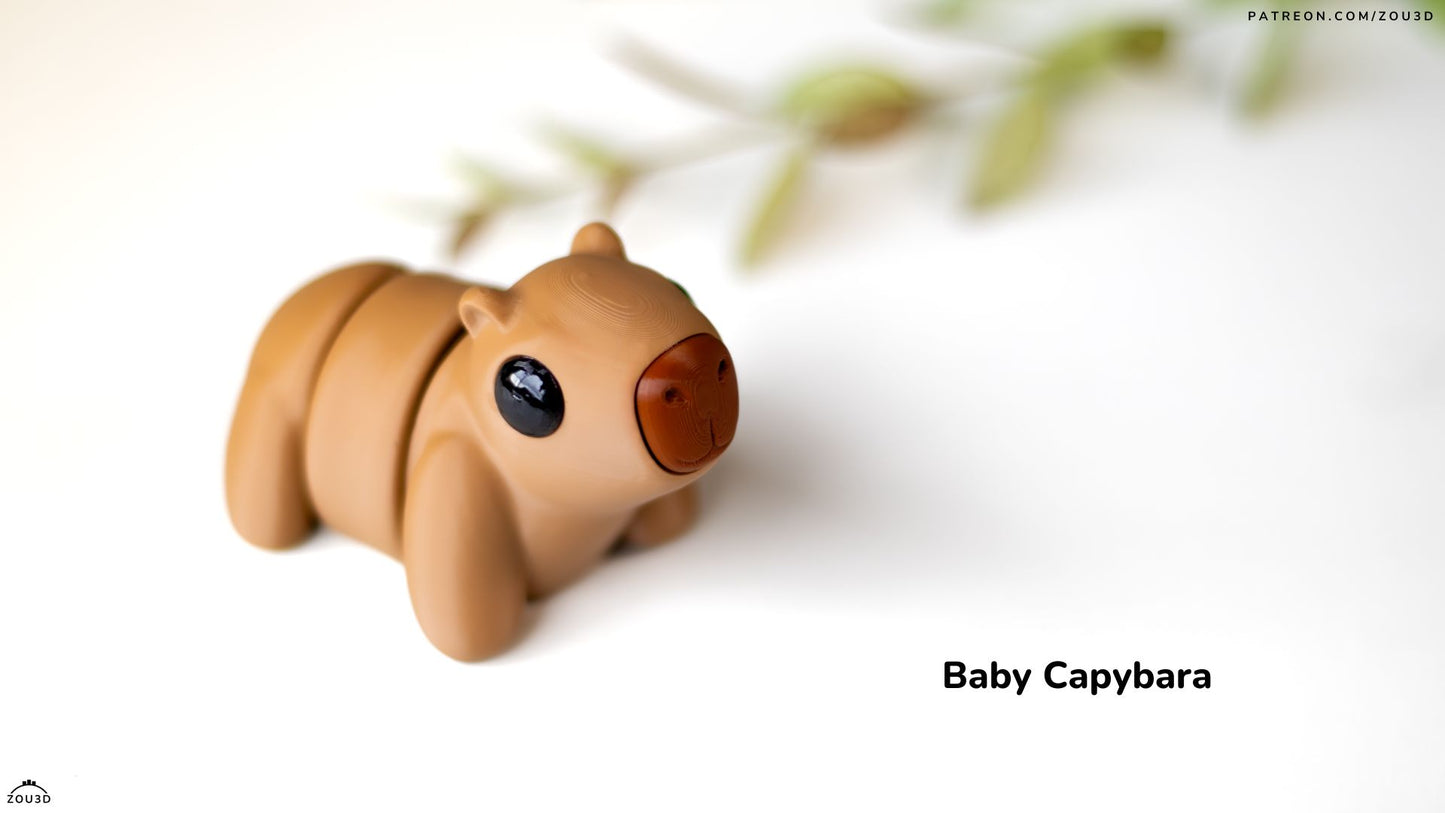 Baby Capybara